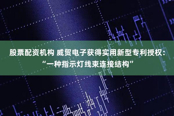 股票配资机构 威贸电子获得实用新型专利授权：“一种指示灯线束连接结构”